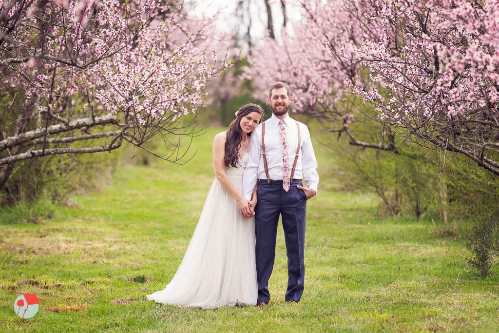 peach blossoms and a just married couple standing between the trees at The barn at Drewia hill